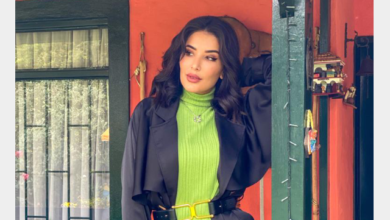 Ines Harrak: The Phenomena of Bribery