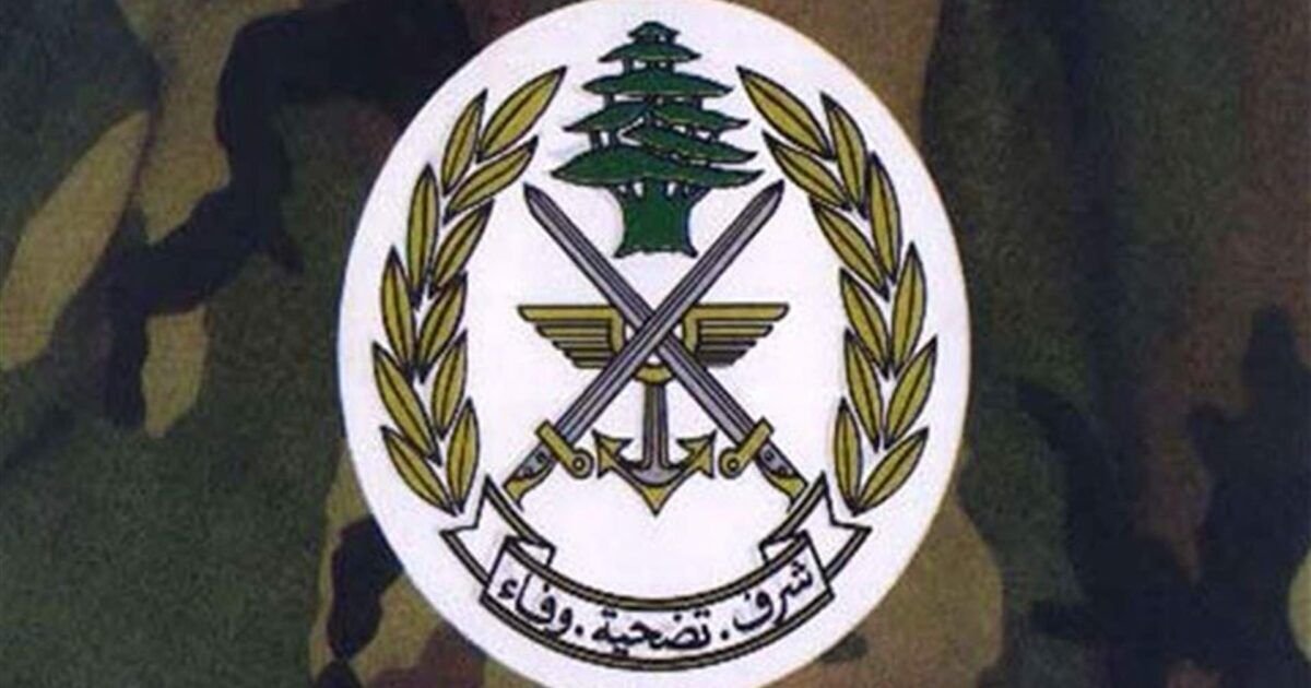 الجيش اللبناني: وجودنا في النبطية قائم وتكثيف المهمات لطمأنة الأهالي